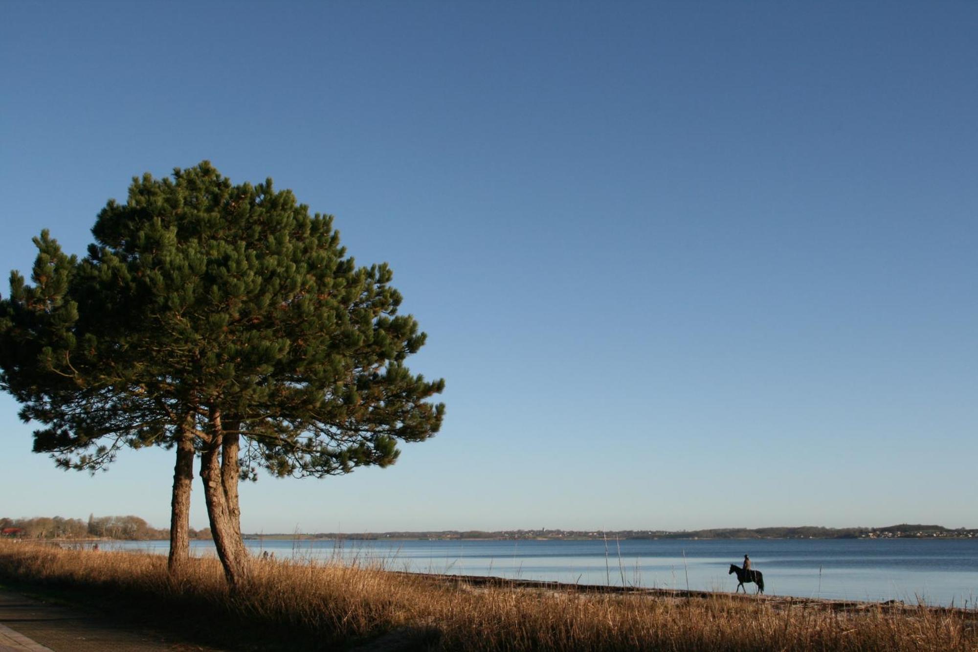 Ostsee-Strandhaus-Holnis กลึคส์บวร์ก ภายนอก รูปภาพ